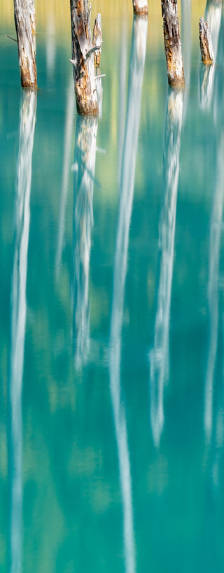 Lingering Reflections - Fine art photography