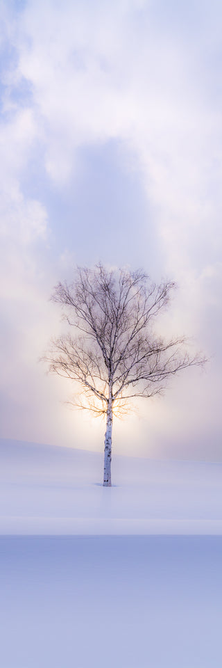Winter Stillness - Fine art photography