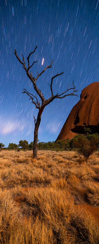 Enduring beneath the Stars - Fine art photography