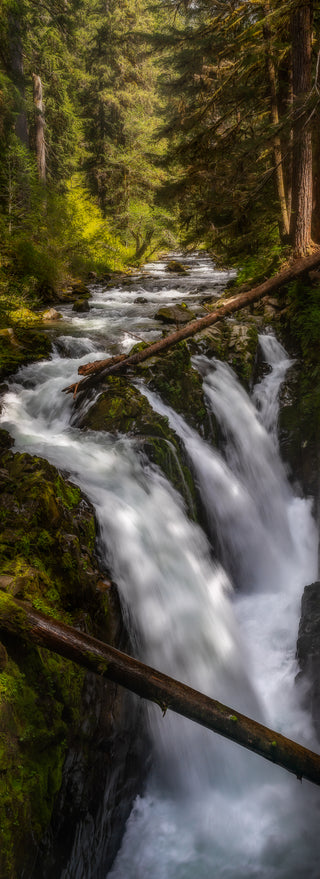 Gathering Force - Fine art photography