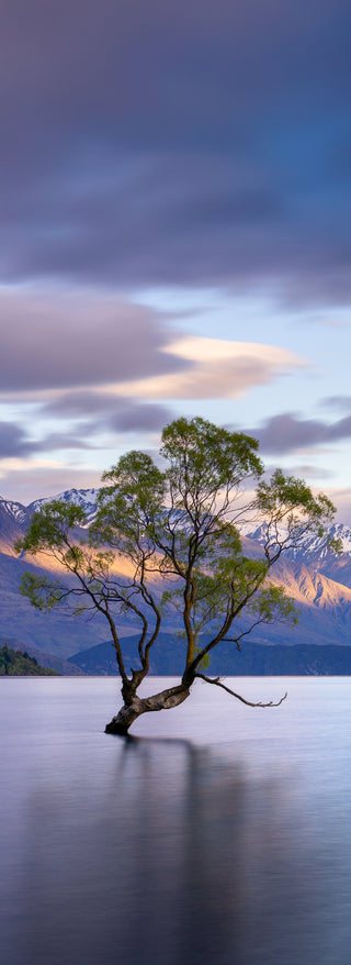 Held by the Light - Fine art photography